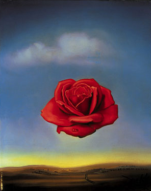 Meditative Rose, Salvador Dali